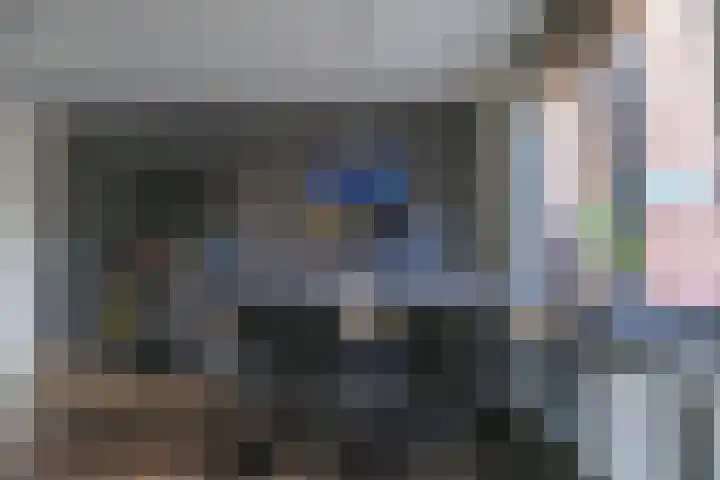 Kweekwal 22 Enkhuizen thumbnail 14