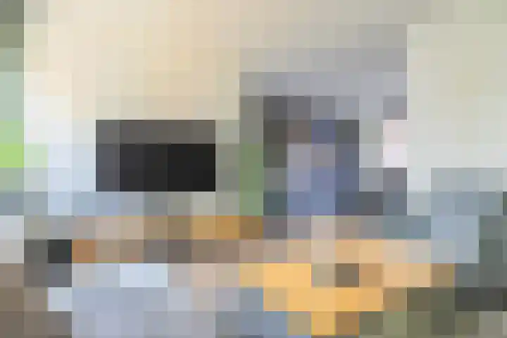 Kweekwal 22 Enkhuizen thumbnail 15
