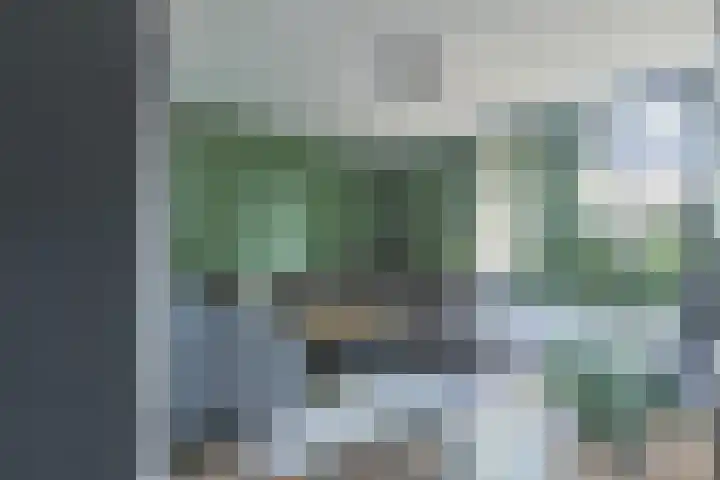 Kweekwal 22 Enkhuizen thumbnail 16