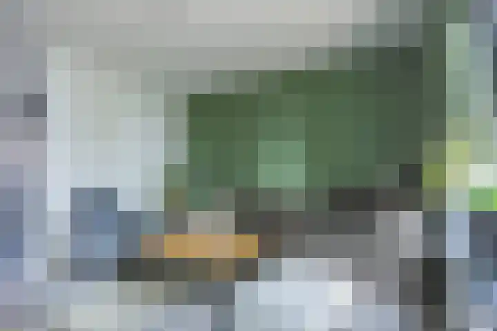 Kweekwal 22 Enkhuizen thumbnail 17