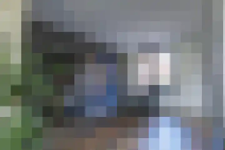 Kweekwal 22 Enkhuizen thumbnail 18