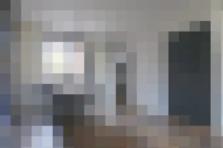 Kweekwal 22 Enkhuizen thumbnail 19