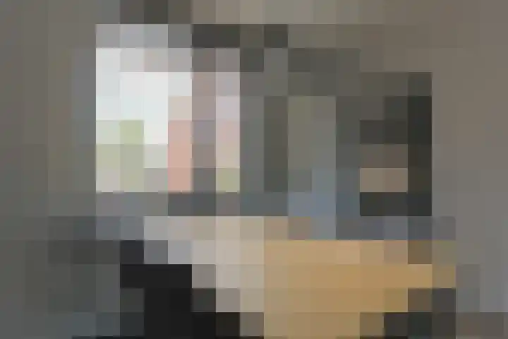 Kweekwal 22 Enkhuizen thumbnail 20