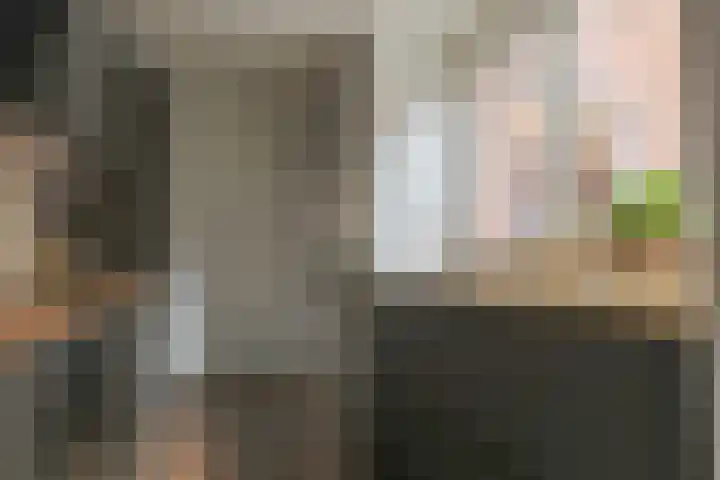 Kweekwal 22 Enkhuizen thumbnail 21