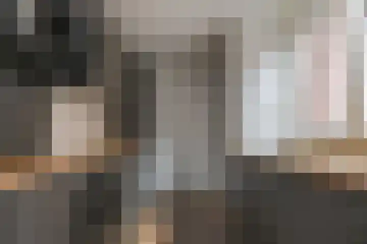 Kweekwal 22 Enkhuizen thumbnail 22