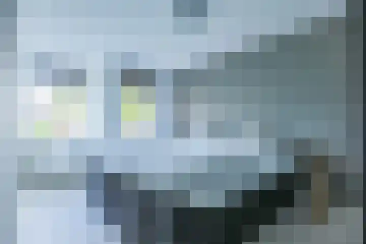 Kweekwal 22 Enkhuizen thumbnail 26