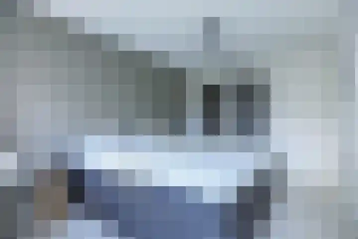 Kweekwal 22 Enkhuizen thumbnail 27