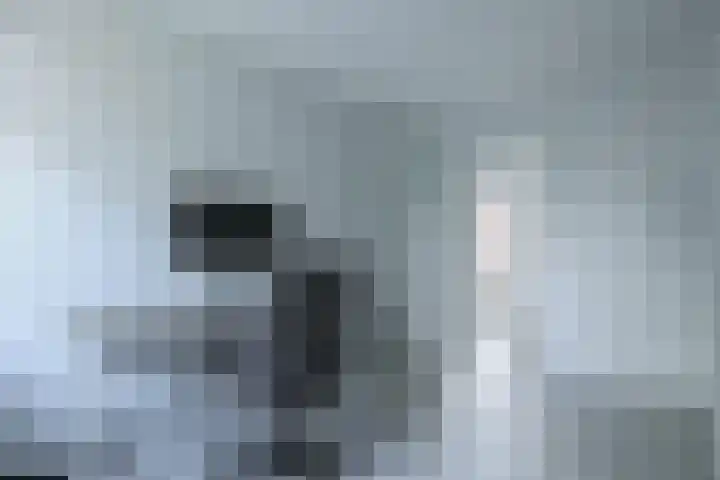 Kweekwal 22 Enkhuizen thumbnail 30