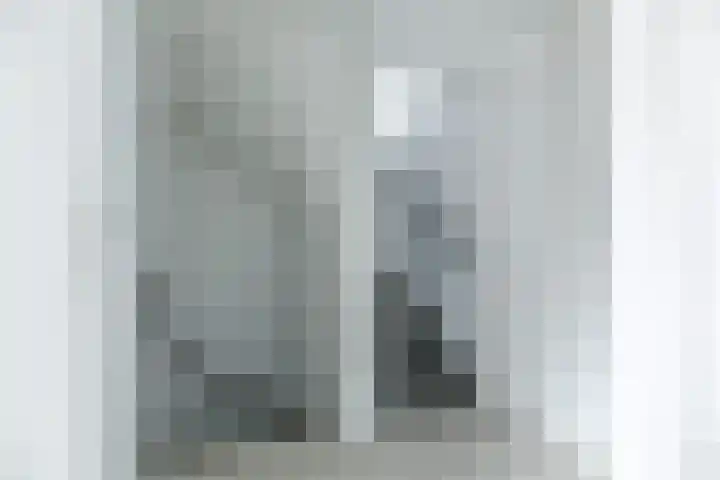 Kweekwal 22 Enkhuizen thumbnail 32