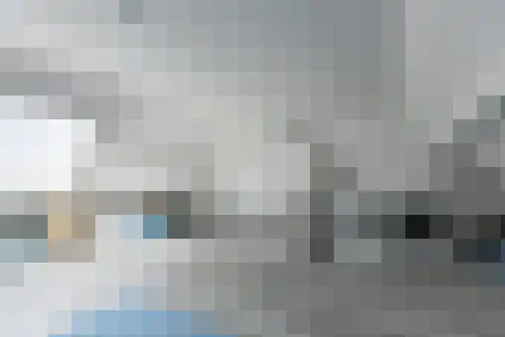 Kweekwal 22 Enkhuizen thumbnail 33
