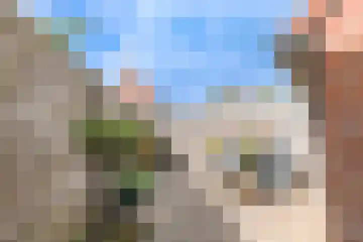 Kweekwal 22 Enkhuizen thumbnail 37