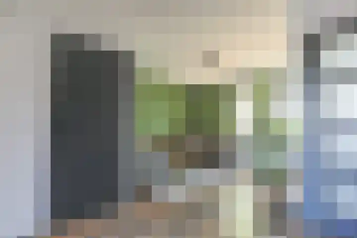 Kweekwal 22 Enkhuizen thumbnail 4