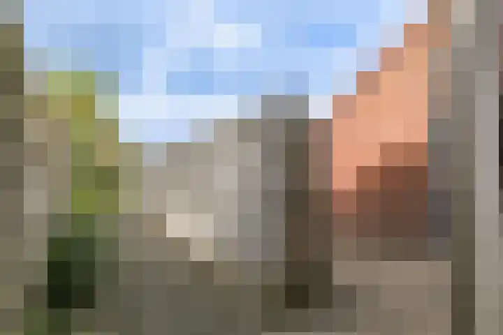 Kweekwal 22 Enkhuizen thumbnail 41