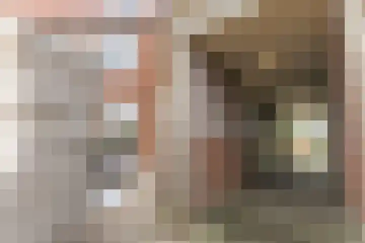 Kweekwal 22 Enkhuizen thumbnail 42