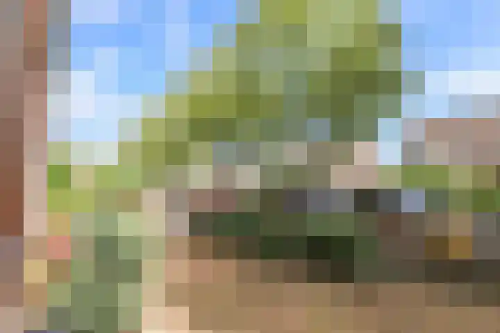Kweekwal 22 Enkhuizen thumbnail 44