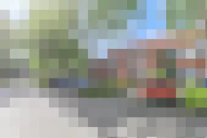 Kweekwal 22 Enkhuizen thumbnail 45