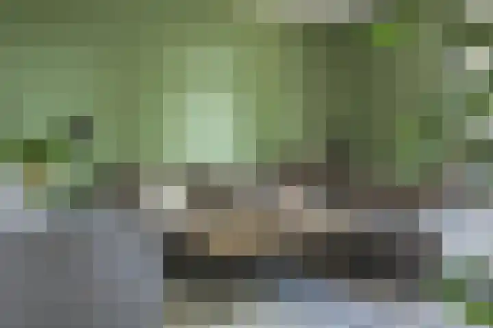 Kweekwal 22 Enkhuizen thumbnail 5