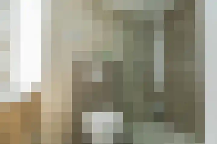 Kweekwal 22 Enkhuizen thumbnail 6