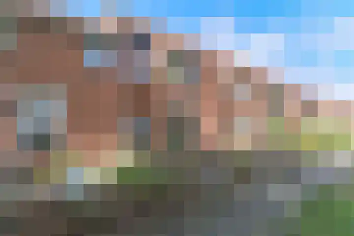 Kweekwal 22 Enkhuizen thumbnail 8