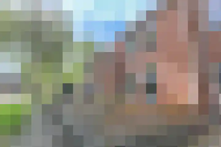 Kweekwal 22 Enkhuizen thumbnail 9
