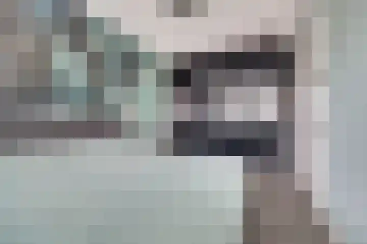 Kweepeer 12 Vlijmen thumbnail 22