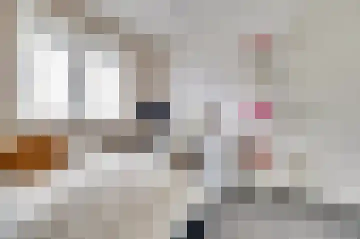 Kweepeer 12 Vlijmen thumbnail 24