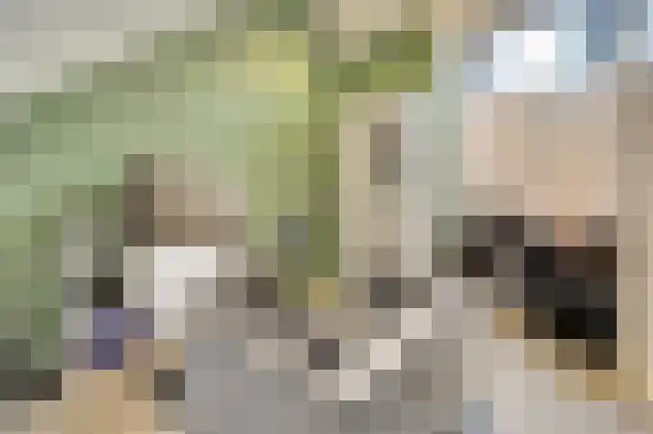 Kweepeer 12 Vlijmen thumbnail 33