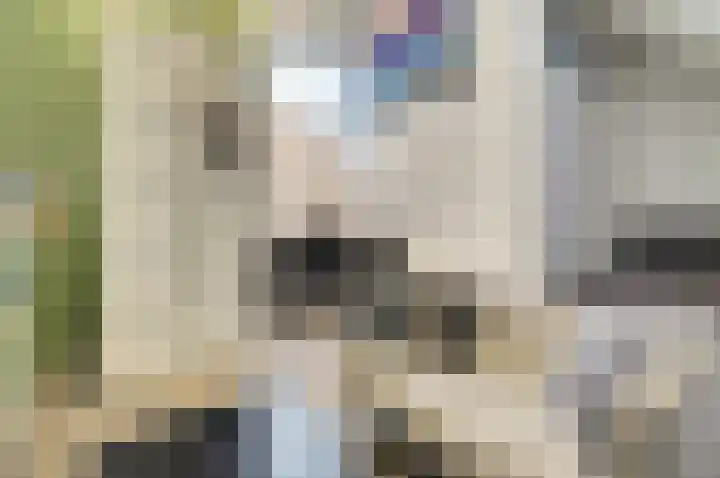 Kweepeer 12 Vlijmen thumbnail 34