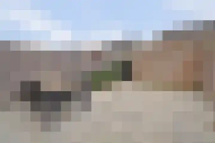 Kweepeer 12 Vlijmen thumbnail 44