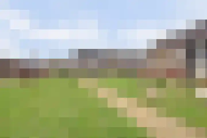 Kweepeer 12 Vlijmen thumbnail 51