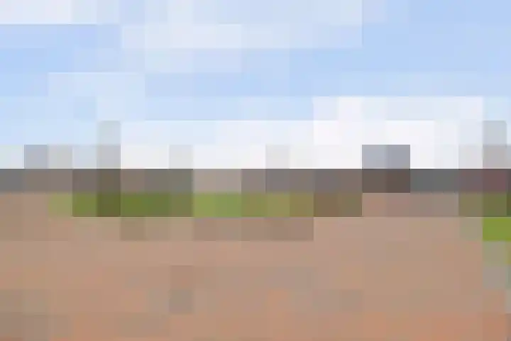 Kweepeer 12 Vlijmen thumbnail 52