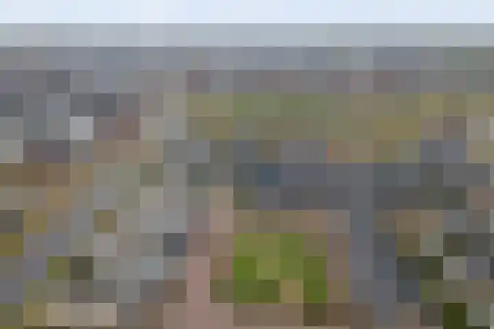 Kweepeer 12 Vlijmen thumbnail 56