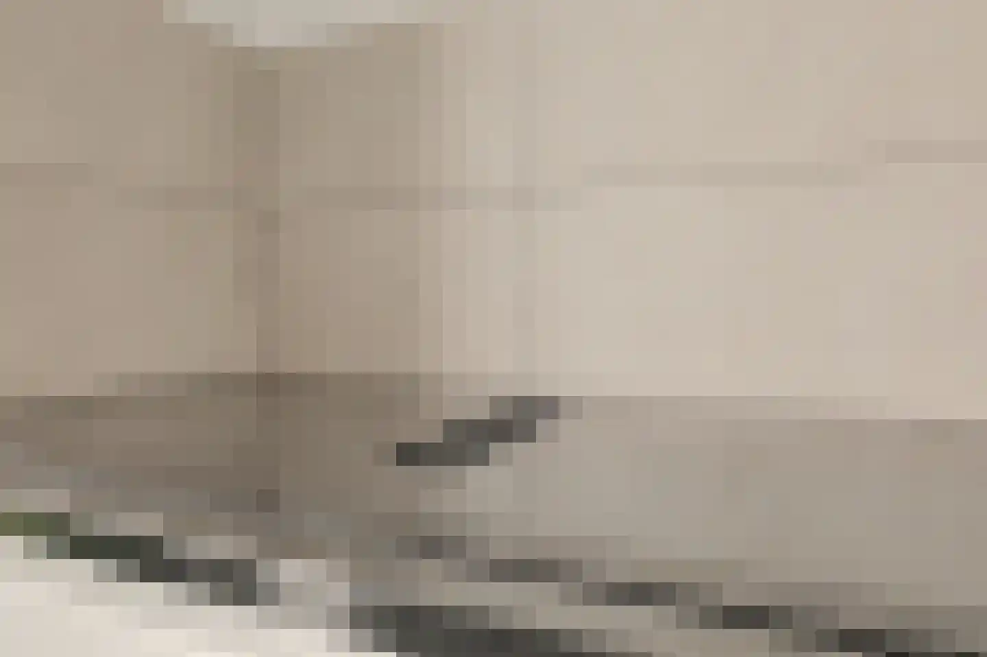 Kweepeer 16 Vlijmen thumbnail 13