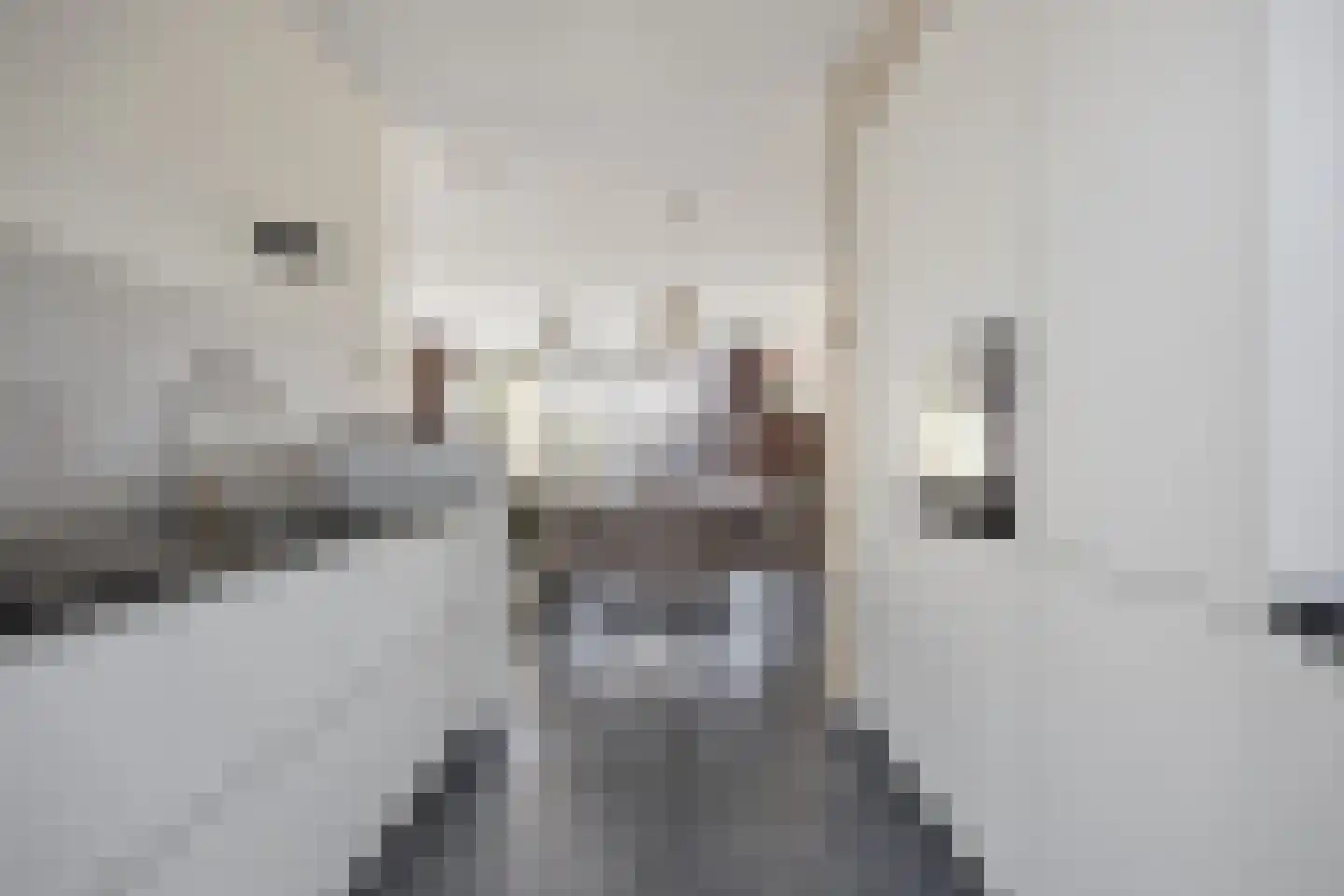 Kweepeer 16 Vlijmen thumbnail 15