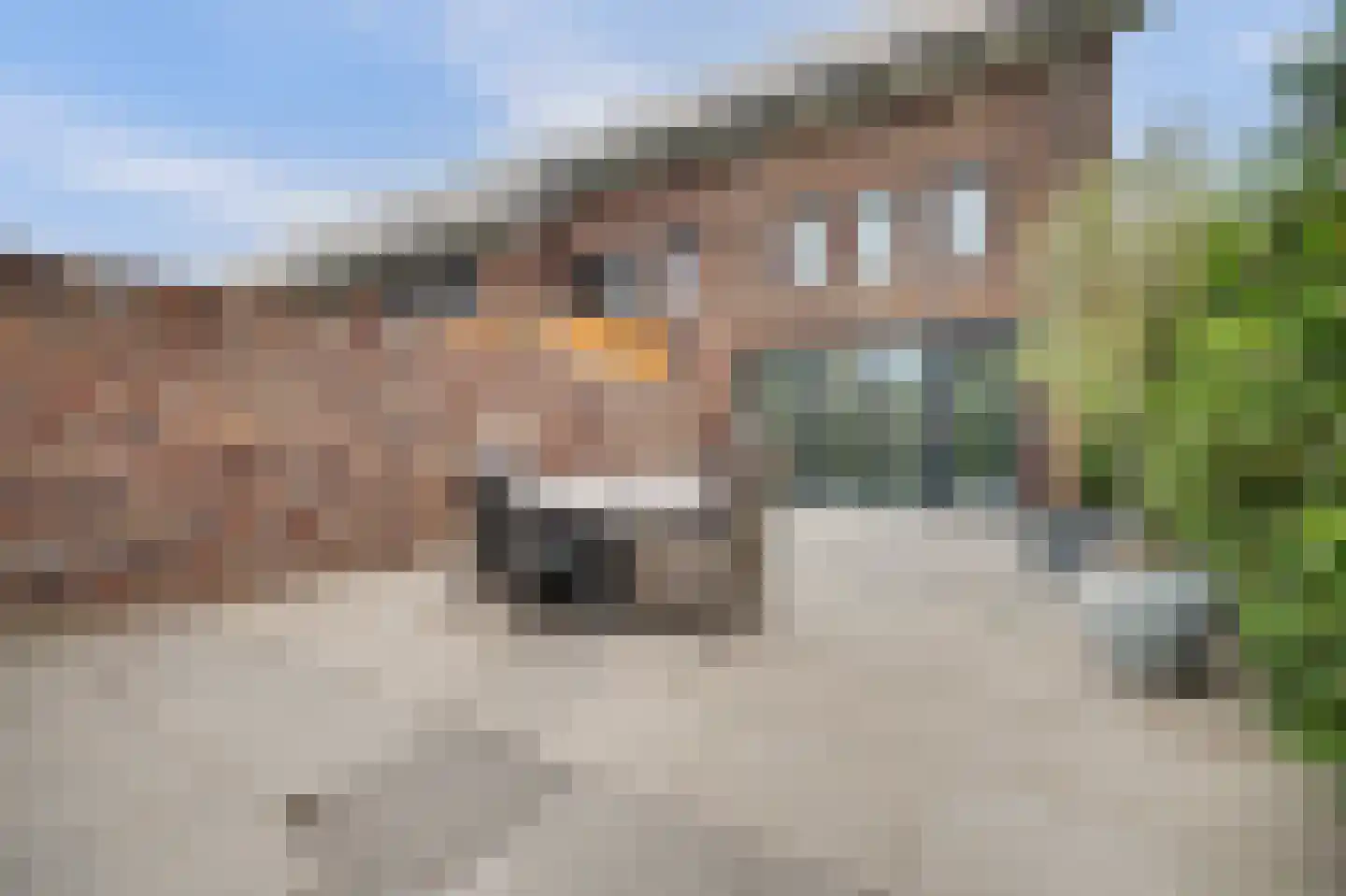 Kweepeer 16 Vlijmen thumbnail 36