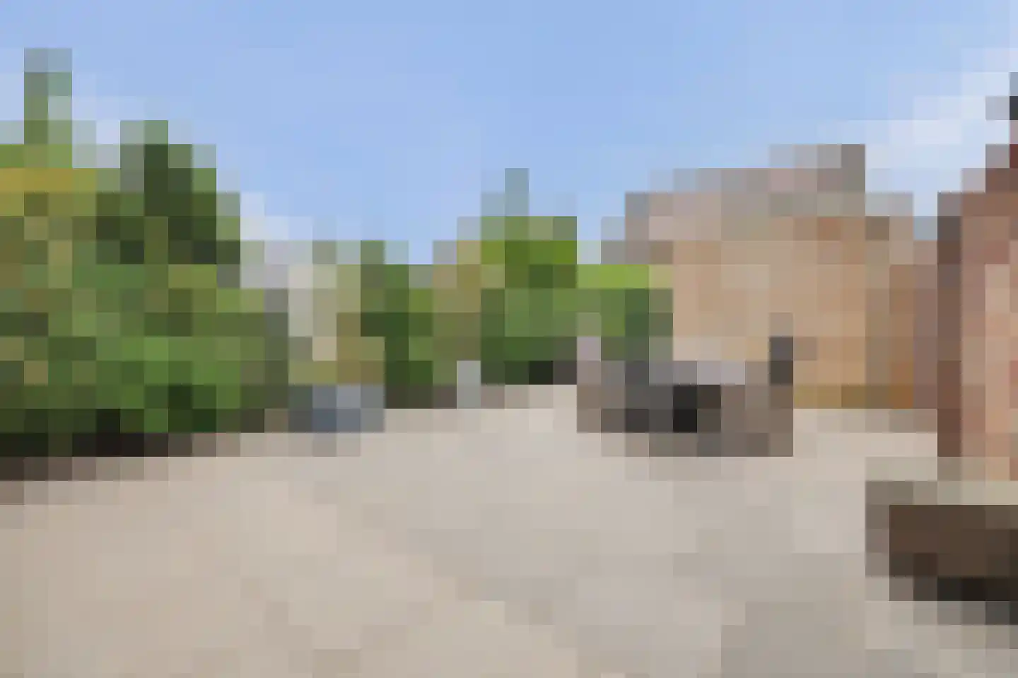 Kweepeer 16 Vlijmen thumbnail 39
