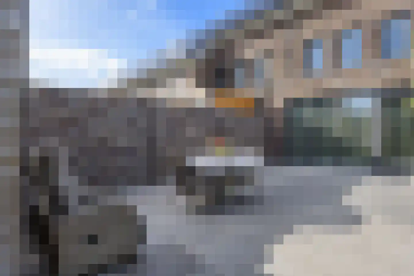 Kweepeer 16 Vlijmen thumbnail 39