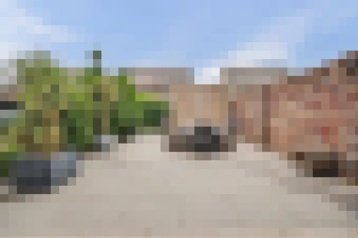 Kweepeer 16 Vlijmen thumbnail 40