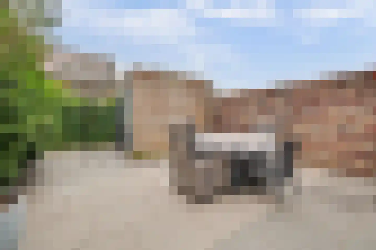 Kweepeer 16 Vlijmen thumbnail 41