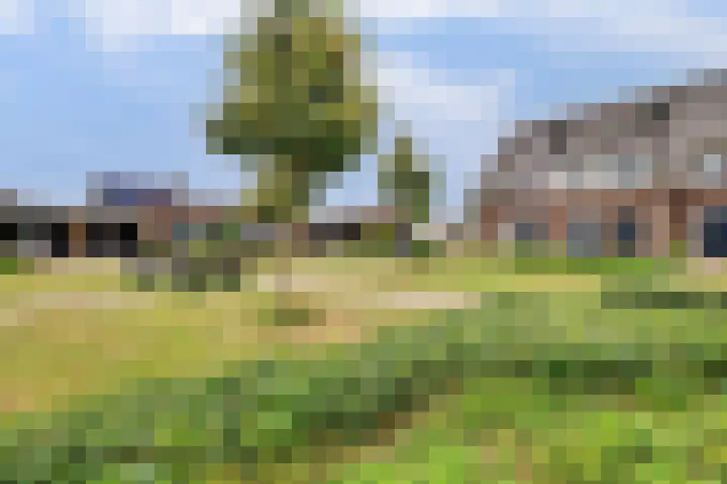Kweepeer 16 Vlijmen thumbnail 44