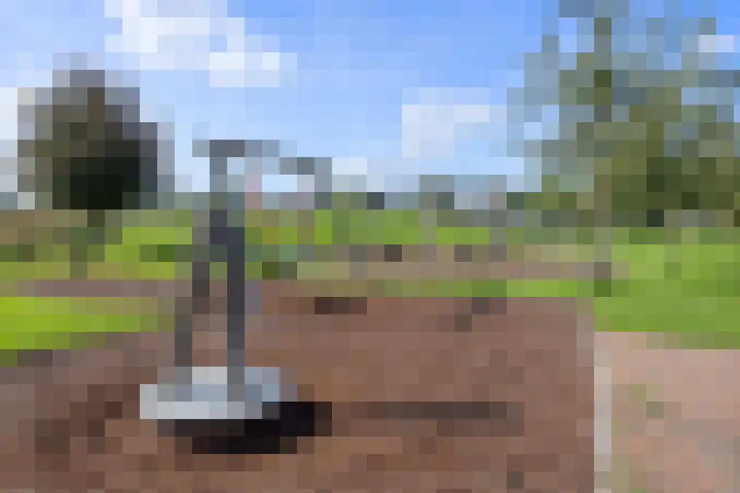 Kweepeer 16 Vlijmen thumbnail 46