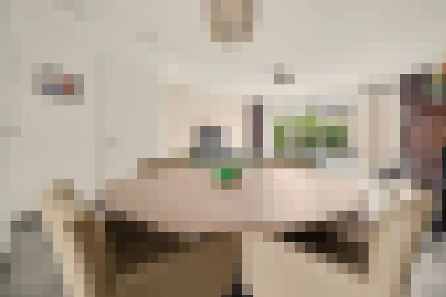 Kweepeer 16 Vlijmen thumbnail 8