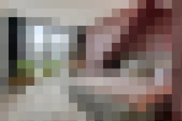 Kweepeer 17 Boskoop thumbnail 12