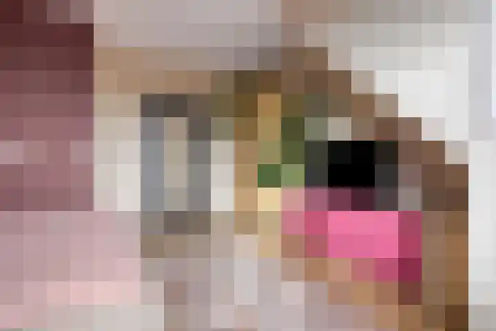 Kweepeer 17 Boskoop thumbnail 13