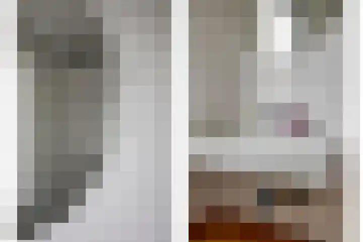 Kweepeer 17 Boskoop thumbnail 17