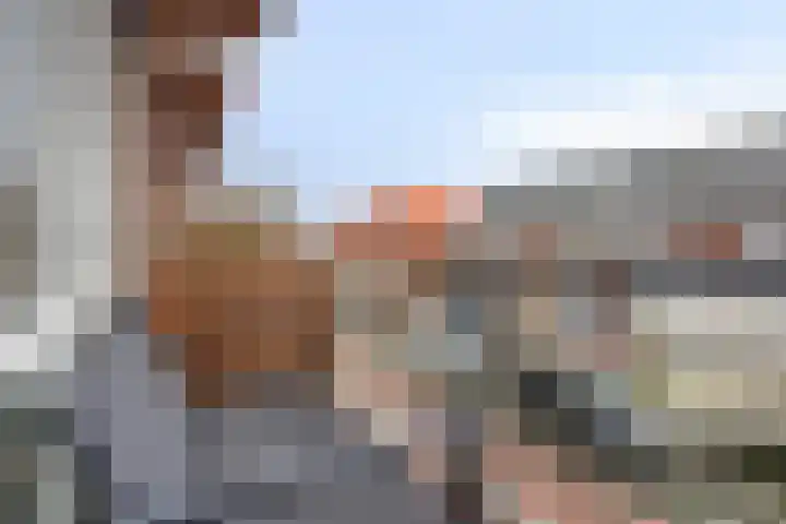 Kweepeer 17 Boskoop thumbnail 18