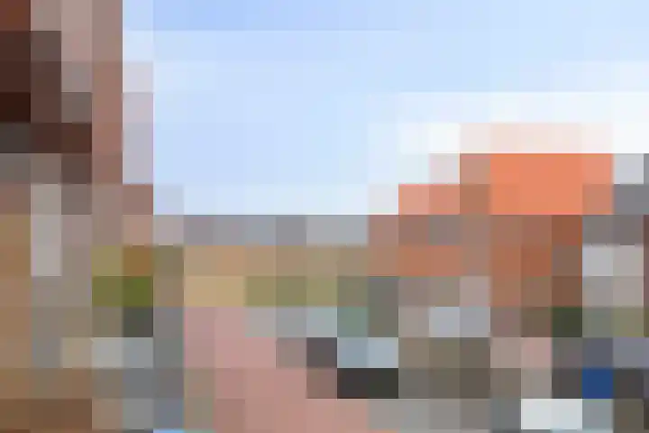 Kweepeer 17 Boskoop thumbnail 19