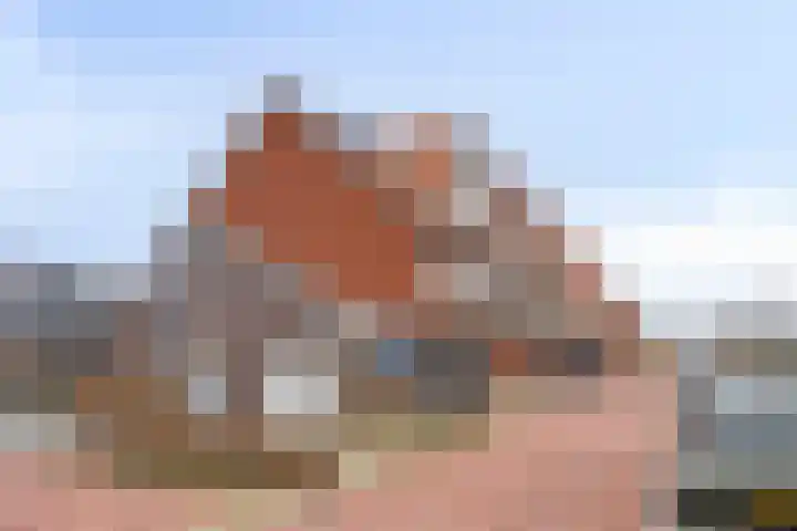 Kweepeer 17 Boskoop thumbnail 21