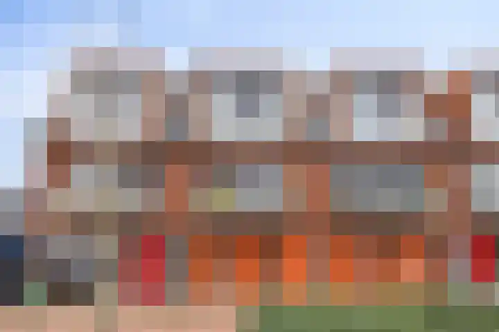 Kweepeer 17 Boskoop thumbnail 22