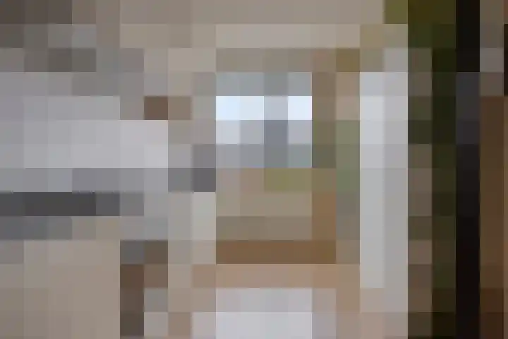 Kweepeer 17 Boskoop thumbnail 7